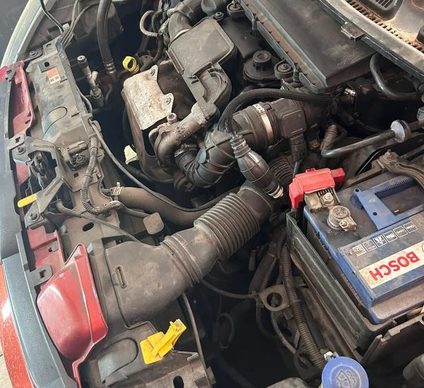 Servicio de limpieza 1