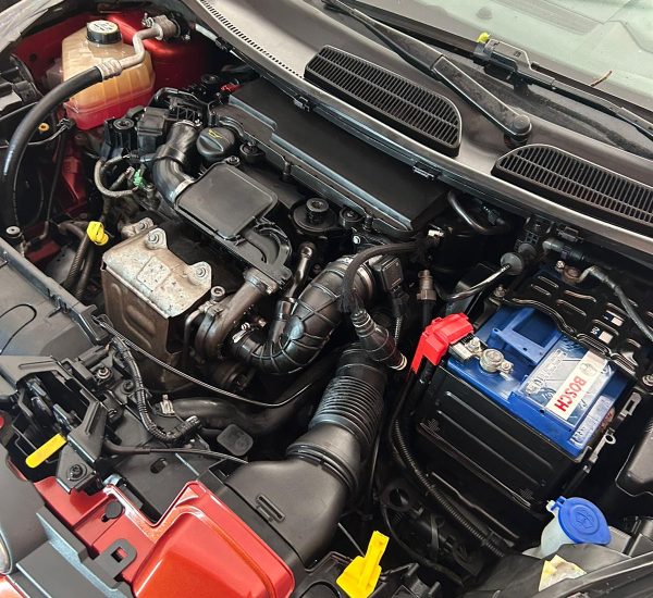 WhatsApp Image 2024-07-15 at 17.39.36(1)